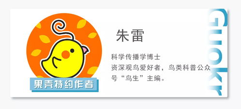 咻咻小神仙2024免广告最新版下载2024-咻咻小神仙城镇叠叠乐下载v.7.43